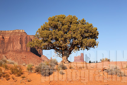 ref-5430-usa18-monument-valley-usa-desert-photos-de-monument-valley-photographe.jpg