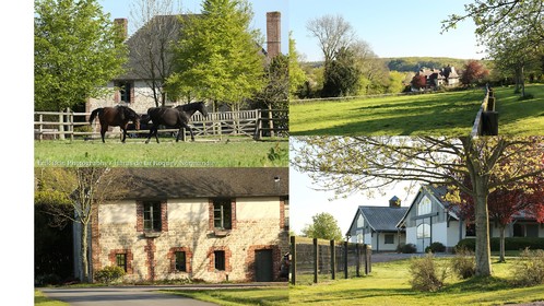 Reportage Haras de la Roque   Normandie