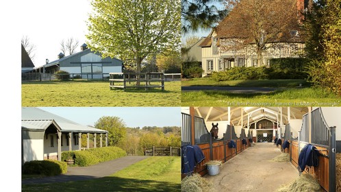 Reportage Haras de la Roque   Normandie