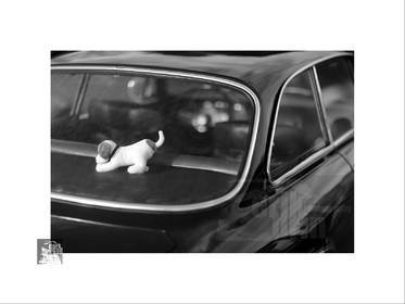 Voitures anciennes en noir et blanc