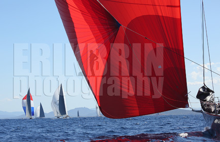 ref-18000-rc2014-spi-voile-voilier-bateau-de-course-mer-photographe.jpg